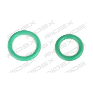 RIDEX 447K0445
