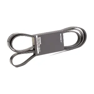RIDEX 305P0102