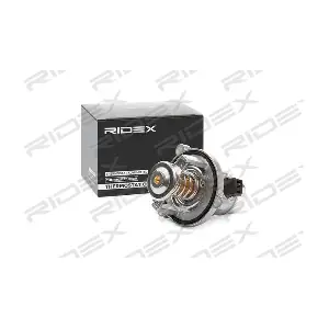 RIDEX 316T0165