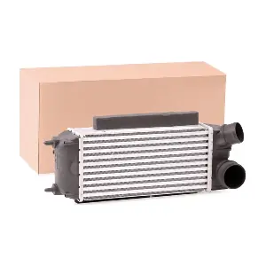 468I0255 RIDEX
