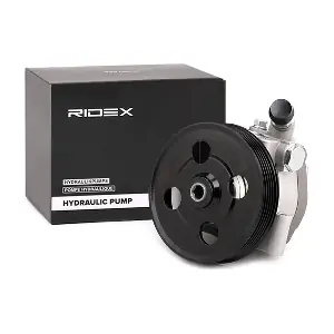 12H0123 RIDEX