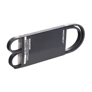 305P0313 RIDEX