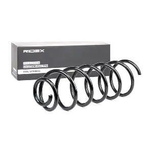 188C0043 RIDEX