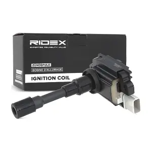 RIDEX 689C0039