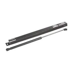 219G0389 RIDEX