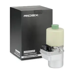 RIDEX 12H0037