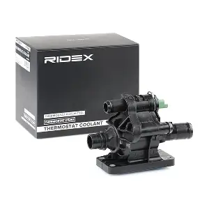 RIDEX 316T0095
