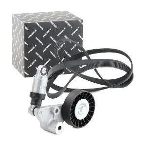 542R0287 RIDEX