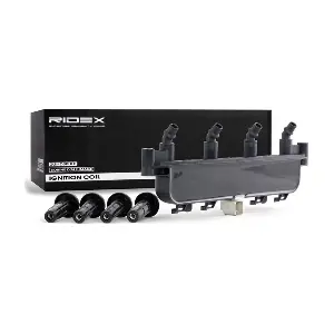 689C0067 RIDEX