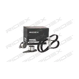 RIDEX 307T0079