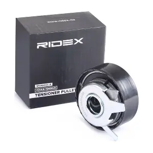 RIDEX 308T0015