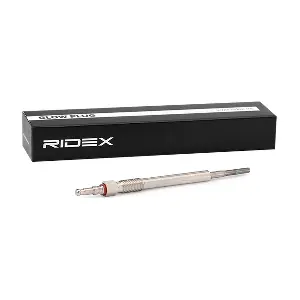 RIDEX 243G0021