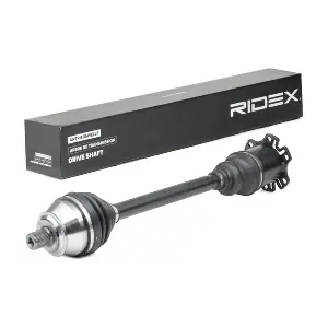 13D1066 RIDEX