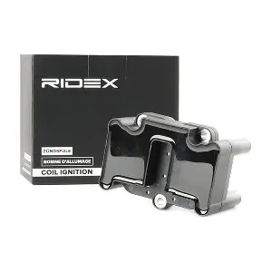 RIDEX 689C0286