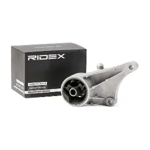 RIDEX 247E0089