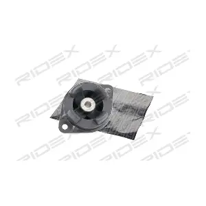 RIDEX 247E0080