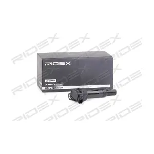 689C0345 RIDEX