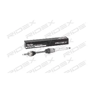 13D0293 RIDEX