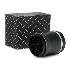 4119A0024 RIDEX