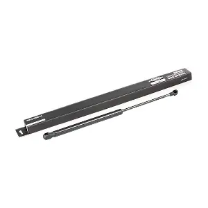 RIDEX 219G0612
