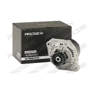 4G0713 RIDEX
