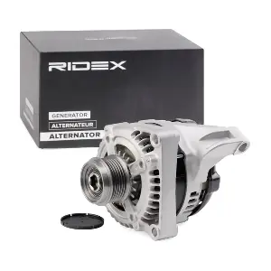 4G0528 RIDEX