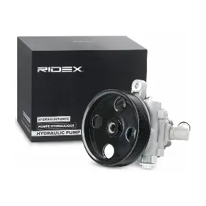 12H0155 RIDEX