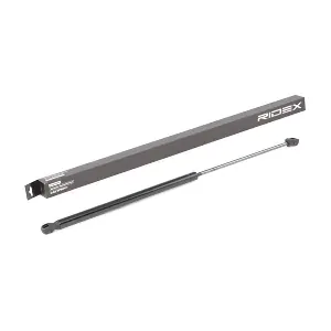 RIDEX 514G0118