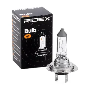 RIDEX 106B0002