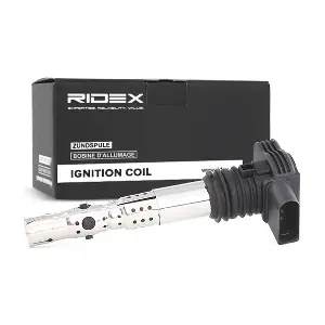 RIDEX 689C0006