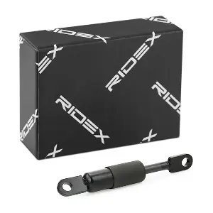 219G0857 RIDEX