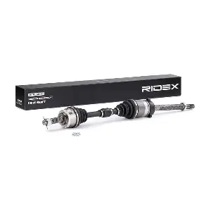 13D0019 RIDEX