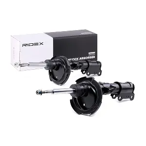 854S1603 RIDEX