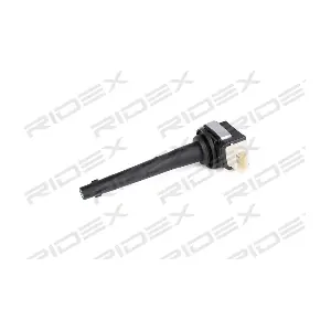 RIDEX 689C0348