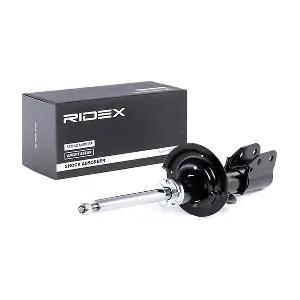 RIDEX 854S0842