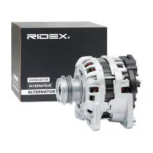 4G1065 RIDEX