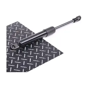219G0497 RIDEX