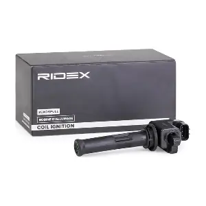 RIDEX 689C0052