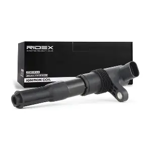 RIDEX 689C0095