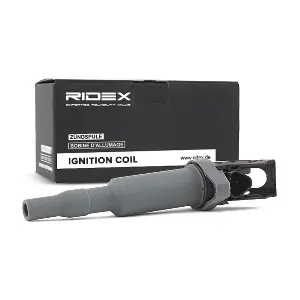 RIDEX 689C0029