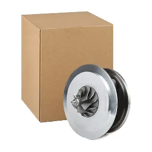 4973C0021 RIDEX