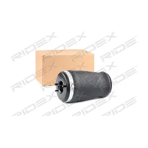 4119A0013 RIDEX