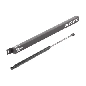 219G0829 RIDEX
