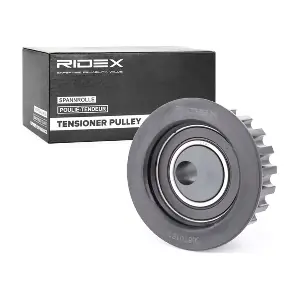 RIDEX 308T0163