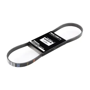 305P0029 RIDEX