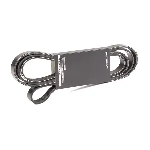 305P0105 RIDEX