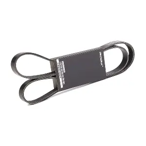 RIDEX 305P0067