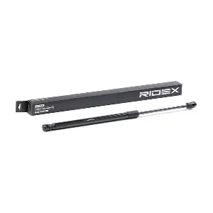 219G0738 RIDEX