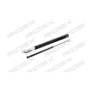 219G0699 RIDEX