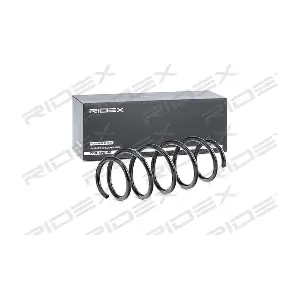 188C0313 RIDEX
